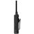Inrico IRC380