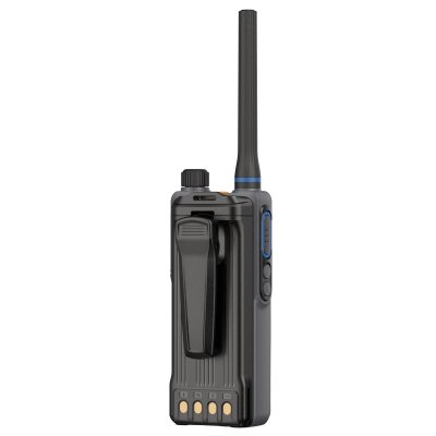 Lira DP-4800V вид сзади с клипсой